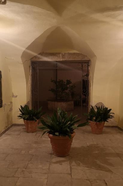 Les Maisons Coco Trani Exterior foto